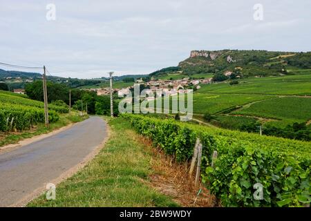 Weinberg in Solutré-Pouilly (Bourgogne) mit Roche de Solutré im Hintergrund Stockfoto