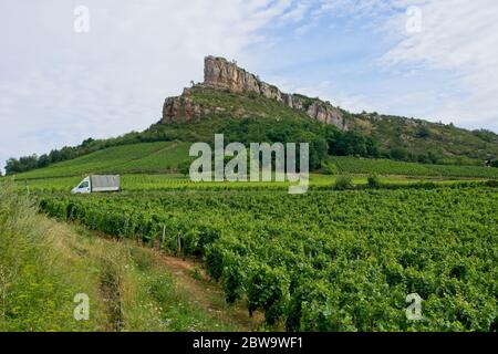 Weinberg in Solutré-Pouilly (Bourgogne) mit Roche de Solutré im Hintergrund Stockfoto