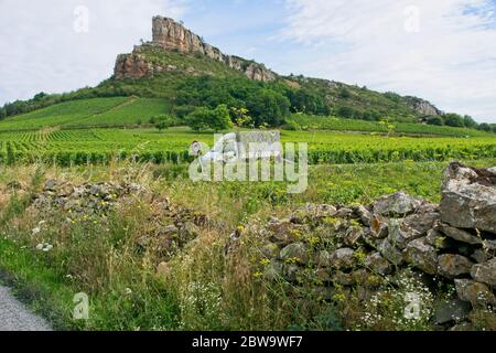 Weinberg in Solutré-Pouilly (Bourgogne) mit Roche de Solutré im Hintergrund Stockfoto