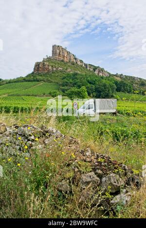 Weinberg in Solutré-Pouilly (Bourgogne) mit Roche de Solutré im Hintergrund Stockfoto