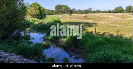 Eine Auswahl an Bildern vom Spaziergang auf der Themse in den Cotswolds, der 184 Meilen von The Source in der Nähe von Kemble bis zum Ziel in London, England, entfernt ist Stockfoto