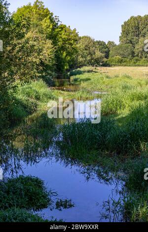 Eine Auswahl an Bildern vom Spaziergang auf der Themse in den Cotswolds, der 184 Meilen von The Source in der Nähe von Kemble bis zum Ziel in London, England, entfernt ist Stockfoto