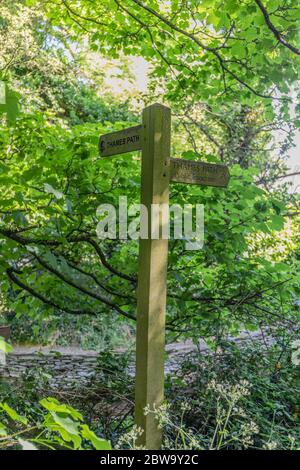 Eine Auswahl an Bildern vom Spaziergang auf der Themse in den Cotswolds, der 184 Meilen von The Source in der Nähe von Kemble bis zum Ziel in London, England, entfernt ist Stockfoto