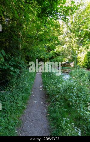 Eine Auswahl an Bildern vom Spaziergang auf der Themse in den Cotswolds, der 184 Meilen von The Source in der Nähe von Kemble bis zum Ziel in London, England, entfernt ist Stockfoto