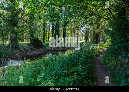 Eine Auswahl an Bildern vom Spaziergang auf der Themse in den Cotswolds, der 184 Meilen von The Source in der Nähe von Kemble bis zum Ziel in London, England, entfernt ist Stockfoto