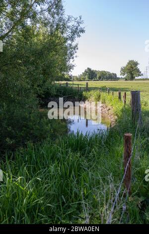 Eine Auswahl an Bildern vom Spaziergang auf der Themse in den Cotswolds, der 184 Meilen von The Source in der Nähe von Kemble bis zum Ziel in London, England, entfernt ist Stockfoto