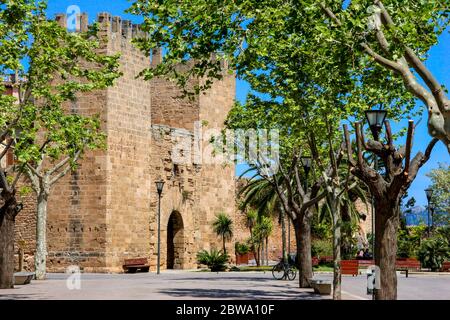 Stadttor Porta de Xara in Alcudia, Mallorca, Balearen, Spanien, Europa Stockfoto