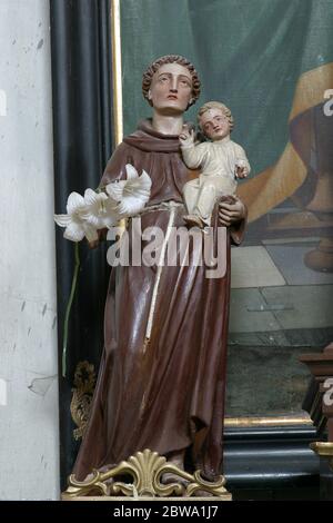 Statue des heiligen Antonius von Padua auf dem Altar des heiligen Antonius des Eremit in der Kirche der Heiligen drei Könige in Stara Ploscica, Kroatien Stockfoto