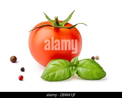 Tomate mit Basilikumblättern und Paprika mischen. Rote Tomaten und Gewürze. Stockfoto