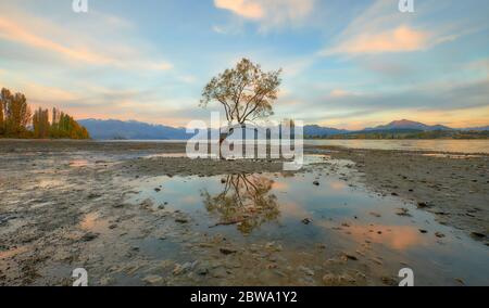 Die Landschaft von Wanaka Tree, einem berühmten Weidenbaum im Lake Wanaka, Neuseeland Stockfoto