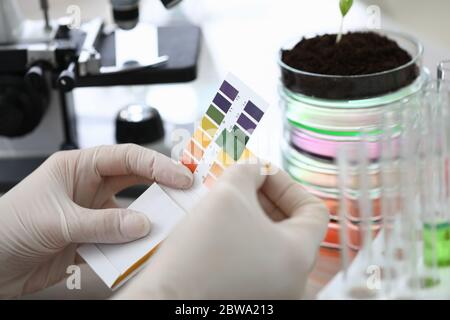 Handschuhhands halten Papier, um die Säure des Bodens zu testen Stockfoto