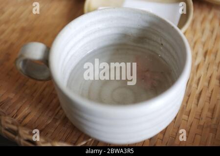 Schließen Sie gesalzene Kirschblüte essbare Blume in Tasse Stockfoto