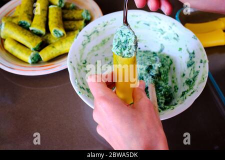 Hausgemachte Zubereitung von typisch italienischen Cannelloni mit Ricotta und Spinat. Sie sind komplett vegetarisch. Stockfoto