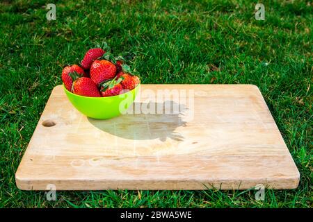 Frisch gepflückte Erdbeeren in einer Schüssel auf einem Holzbrett Stockfoto