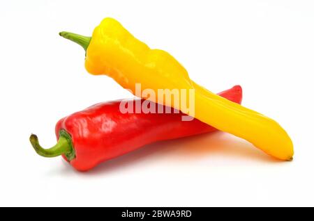 Rot und gelb spitz Paprika auf weißem Hintergrund Stockfoto