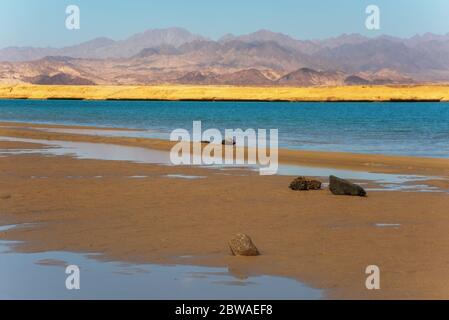 Wüstenlandschaft und Salzsee im Nationalpark Ras Mohammed, Sinai, Ägypten. Stockfoto