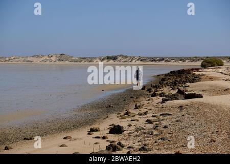 WESTERN Australia Shark Bay - Manga Strand Küste Stockfoto