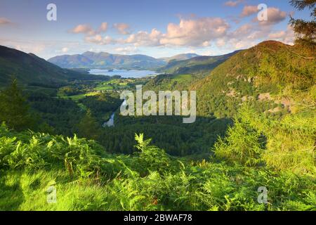 Blick von der Spitze des Castle Crag mit Blick auf Derwent Water und Skiddaw in der Lake District, Cumbria, England, Großbritannien. Stockfoto