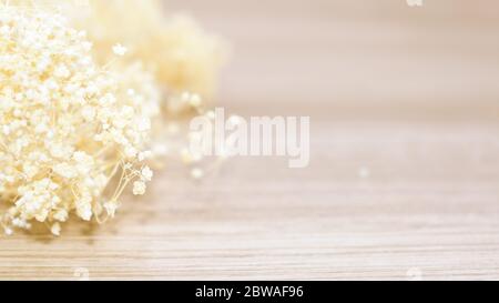 Flache Tiefe der getrockneten Blume auf Holzhintergrund. Platz für Text kopieren. Stockfoto