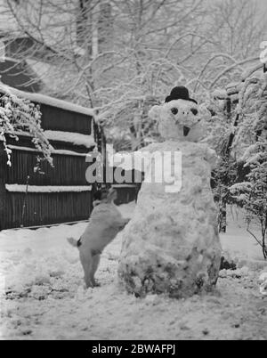 Phyllis und Schneemann Stockfoto