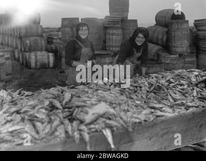 Hering Ernte bei Lowestoft Scotch Fischer Mädchen Ausgucken und Verpackung der Fische auf der Kai Seite Lowestoft . November 1920 Stockfoto