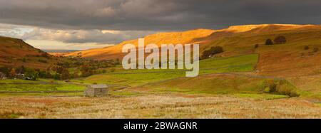 Panoramablick auf das Mallerstang Tal bei Kirkby Stephen an einem späten Winternachmittag. Cumbria, England, Vereinigtes Königreich. Stockfoto