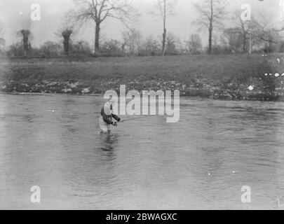 Lachsfischen auf dem Wye in Hampton Bishop. Casting up Stream 30 September 1922 Stockfoto