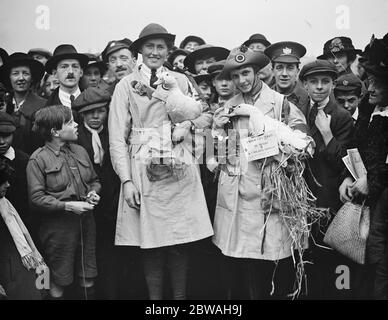 Frauen Land Rallye im Hyde Park - Land Mädchen mit ihren Enten 17 November 1917 Schild sagt: Ich habe 31 Eier in 34 Tagen gelegt und ich mache es immer noch Stockfoto