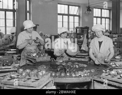 Ostern Neuheiten bei Pascalls , Mitcham 19 Februar 1924 Stockfoto