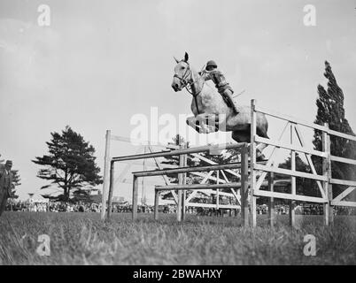 Paddock Wood Horse Show Miss Pauline Jones von East Grinstead übernimmt die dreifache Messlatte im Open-Jumping-Wettbewerb 1932 Stockfoto