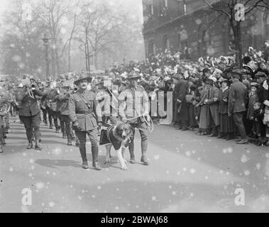 ANZAC Tag in London Billow das Maskottchen der Neuseeländer - Szenen in der Strand 25 April 1917 Stockfoto