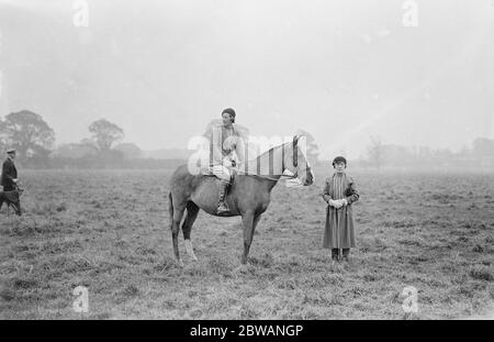 Südengland Coursing Treffen in Mentmore Miss Joan Piggott ( Mounted ) und Mrs Head 1932 Stockfoto