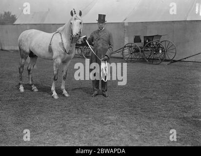 Richmond Horse Show. Herr Walter Winans und sein arabischer Hengst Skovronck Stockfoto