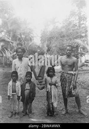 Frederick Burlingham Expedition in Zentral-Borneo wie Wilde Männer von Borneo ihre Jungen vor Reptilien schützen statt vor Wiegen, werden Kinder so aufgewickelt, dass sie nicht fallen können und wie auf einer Rattanrebe von einem Baum zum anderen gespannt aufgehängt werden 21 Oktober 1921 Stockfoto