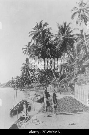 Der Aufstand der Moplah in Indien die große Angst wurde durch die Entwicklung des Aufstands der fanatischen Moplahs von Halabar (Südwestindien) verursacht 30. August 1921 Stockfoto