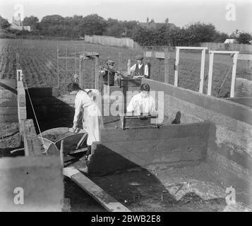 Betonhäuser in Harlow , Essex verdichten Zement in der Form , im Hintergrund sind demobilisierte Soldaten arbeiten 16 September 1919 Stockfoto