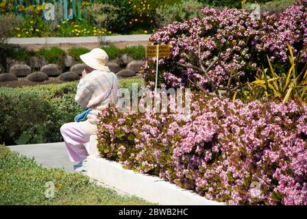 Ältere Dame fotografiert von hinten, die sich an einer Wand in der Nähe einer Blumenperle in Venice Beach, Los Angeles, USA ausruhen. Stockfoto