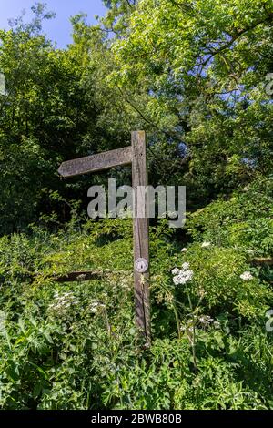 Eine Auswahl an Bildern vom Spaziergang auf der Themse in den Cotswolds, der 184 Meilen von The Source in der Nähe von Kemble bis zum Ziel in London, England, entfernt ist Stockfoto