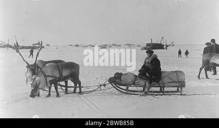 Die USA-Post am weitesten nördlich ein Interessantes Bild auf der Teller Route, zeigt die Mail Schlitten, gezeichnet von Rentieren, in einer abgelegenen Siedlung etwa 120 Meilen nördlich von Nome, Alaska. 25. November 1925 Stockfoto