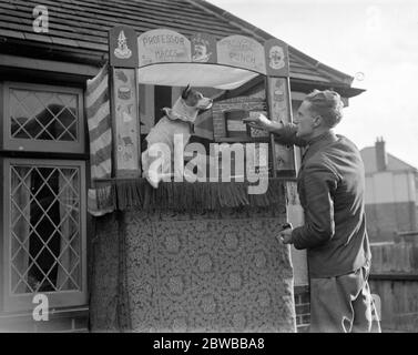 Herr Williams J Maggs , der 26-jährige Sohn von Herrn J Maggs , die "Punch und Judy" Showmen von Bournemouth seit 40 Jahren , hält Hunderte von Jahren Familientradition . Er wird den 200-jährigen ' Punch ' wie sein Großvater und Urgroßvater vor ihm verwenden. November 1935 Stockfoto