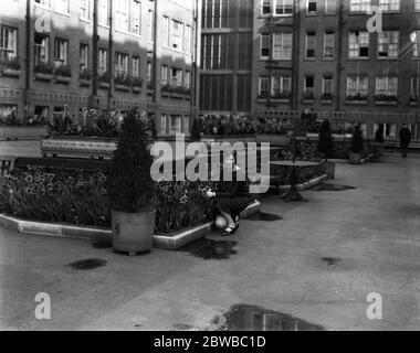 Der schöne Dachgarten des May Fair Hotel, London. 11. April 1928 Stockfoto