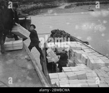 Die Blumenernte in den Scilly Inseln. Laden der Blumen in Boote bei Tresco . 1923 Stockfoto