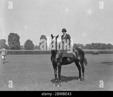 Ranelagh Pferd und Polo Pony zeigen. Frau Ayala Samuelson . 1933 Stockfoto