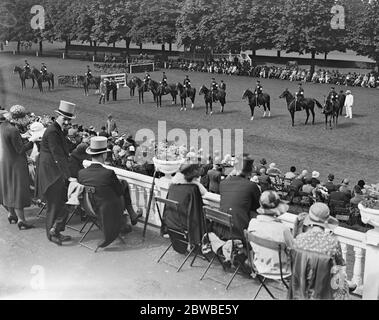 Ein allgemeiner Blick auf die Ranelagh Horse and Polo Pony Show. Montierte Polizei im Schauring. Juni 1931 Stockfoto