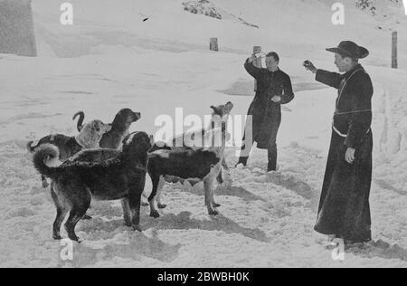 St Bernard Mönche schneite sich . Die Mönche des hl. Bernhard sind in ihrem Hospiz isoliert, da in den letzten drei Tagen immer wieder Schnee fällt. Mönche des Hospiz des Grossen Bernhardins trainieren ihre Hunde. 15 Dezember 1923 Stockfoto