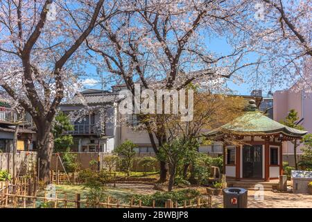 tokio, japan - märz 31 2020: Sechseckiger Pavillon, der dem Gründer der Tokyo University of the Arts oder Geidai im Okakura Tenshin Memorial P gewidmet ist Stockfoto