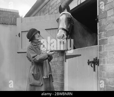 Frau Ian Bullough (Miss Lily Elsie) in ihrem neuen Zuhause, Drury Lane Farm, Gloucestershire. Mit ihrem Lieblingsjäger 5. Januar 1921 Stockfoto