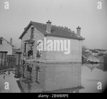 Paris und seine Vororte unter Wasser. Alle Tauben des Bezirks halten eine Konferenz auf dem Dach eines Hauses in Choisy le ROI. Januar 1924 Stockfoto