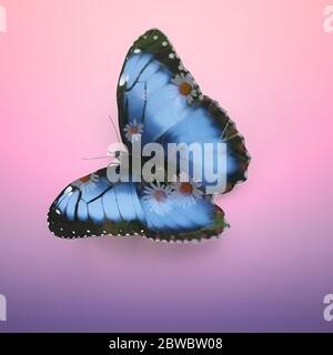 Schmetterling Morpho didius. 3D-Rendering, Effekt mit doppelter Belichtung Stockfoto