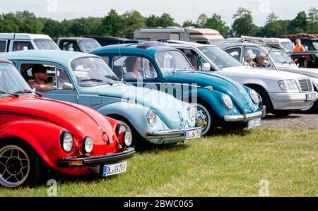 Hude, Deutschland. Mai 2020. Oldtimer des VW Käfer Typs stehen auf dem Gelände eines Drive-in Kinos im Wüsting Bezirk. Mehrere hundert Personen in ihren Oldtimern, Youngtimern und amerikanischen Oldtimern nahmen an der Veranstaltung im Oldenburger Kreis Teil. Die Oldtimer-Fans schauten sich den Film "Le Mans 66 - gegen alle Widrigkeiten" in rund 200 historischen Fahrzeugen an. Kredit: Hauke-Christian Dittrich/dpa/Alamy Live News Stockfoto